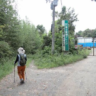行き止まりは左の細道を下る。