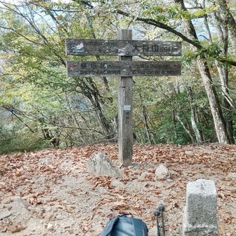 大持山 1294m