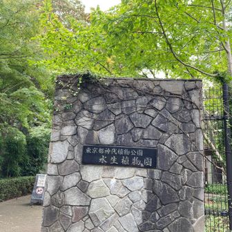 とても広大な公園でした✨たくさんの人が来ていました😊