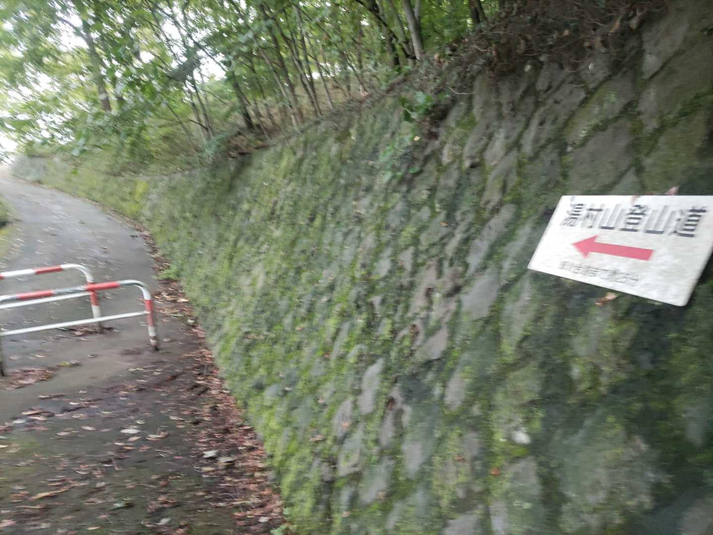 法泉寺山往復 | 武田の城址が息づく歴史の山、甲府の街を見守る戦国ロマンの散歩道の写真