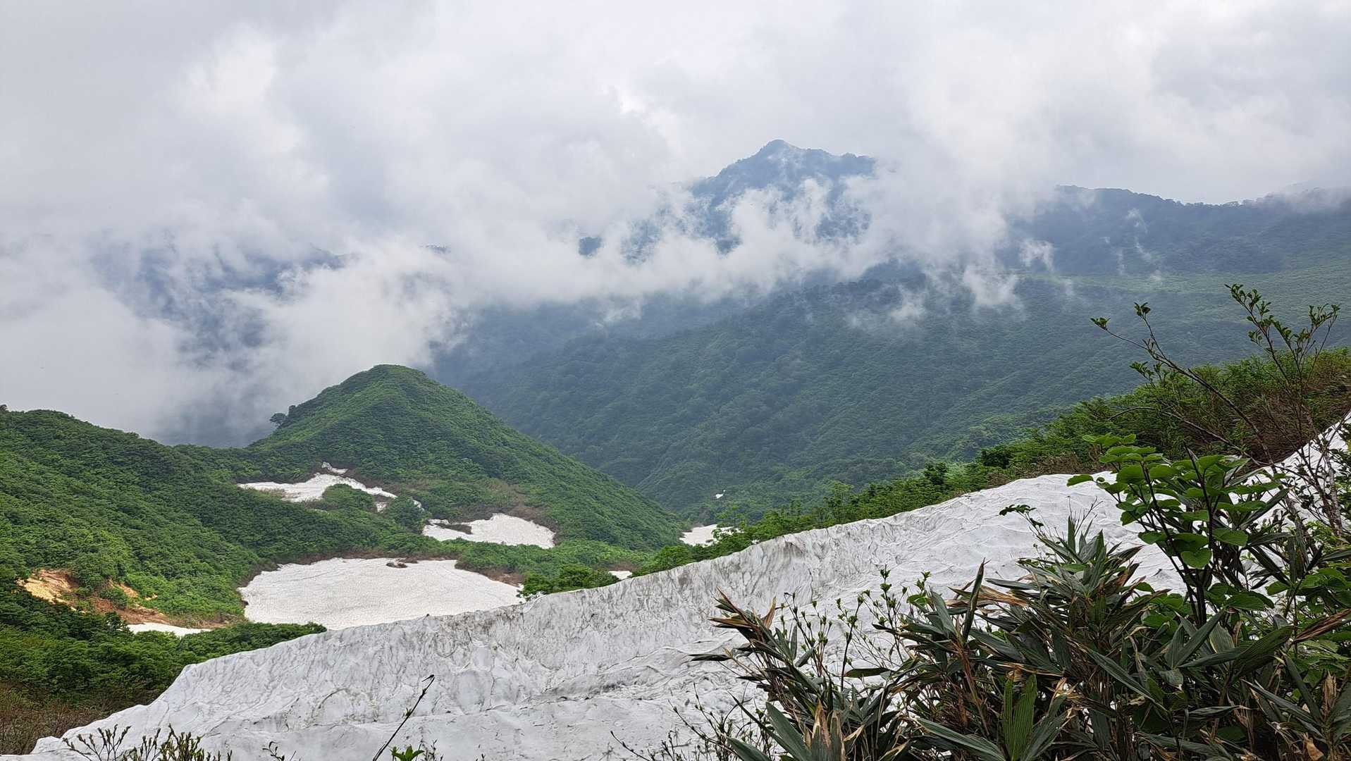 　登山道には全く雪は有りませんが、斜面にはまだまだ多くの残雪。涼しげで良いです。