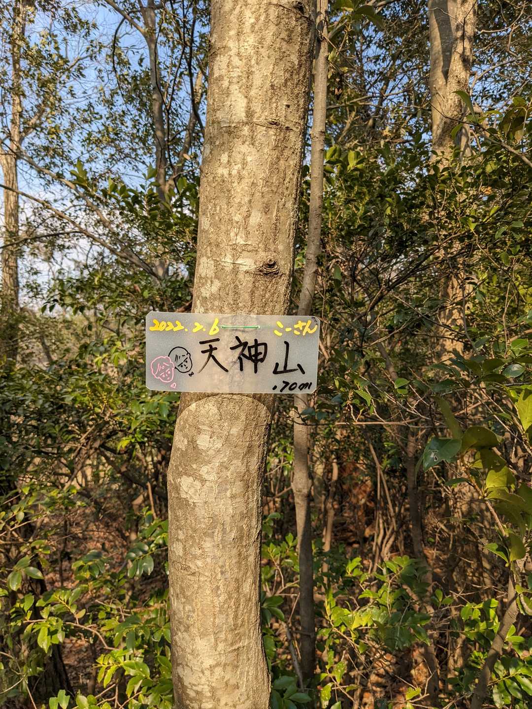 天神山（広島県福山市蔵王町）の写真