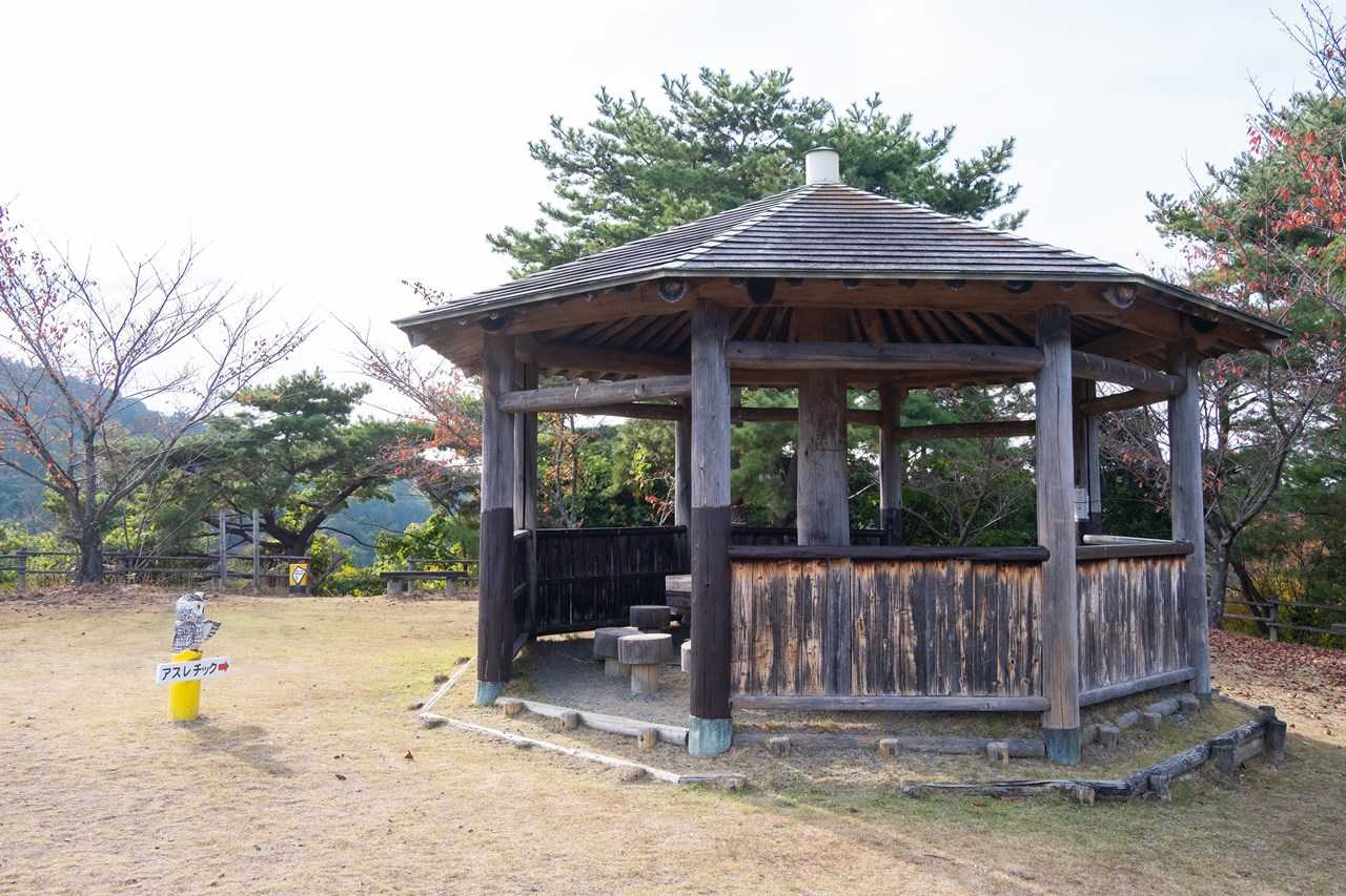 ここが歯朶谷山みたいですね