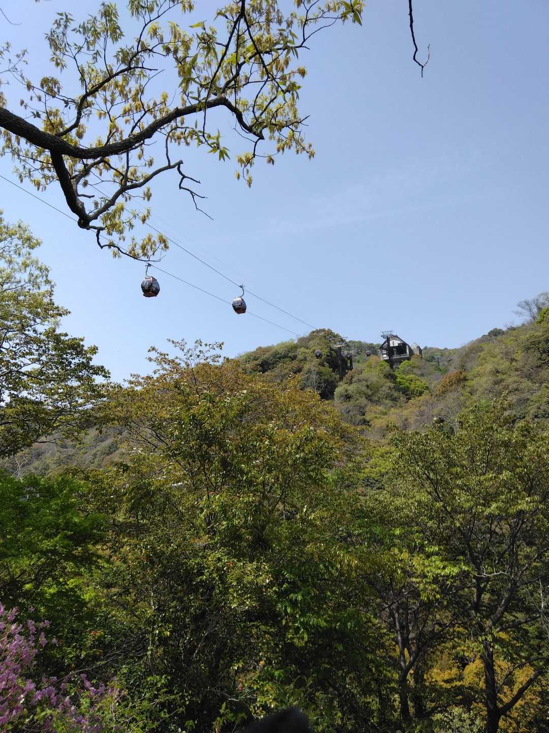 🚡ロープウェイを見上げる