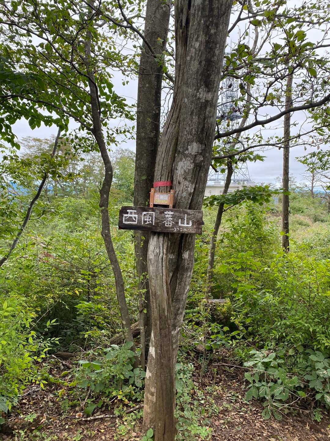 西風蕃山の写真