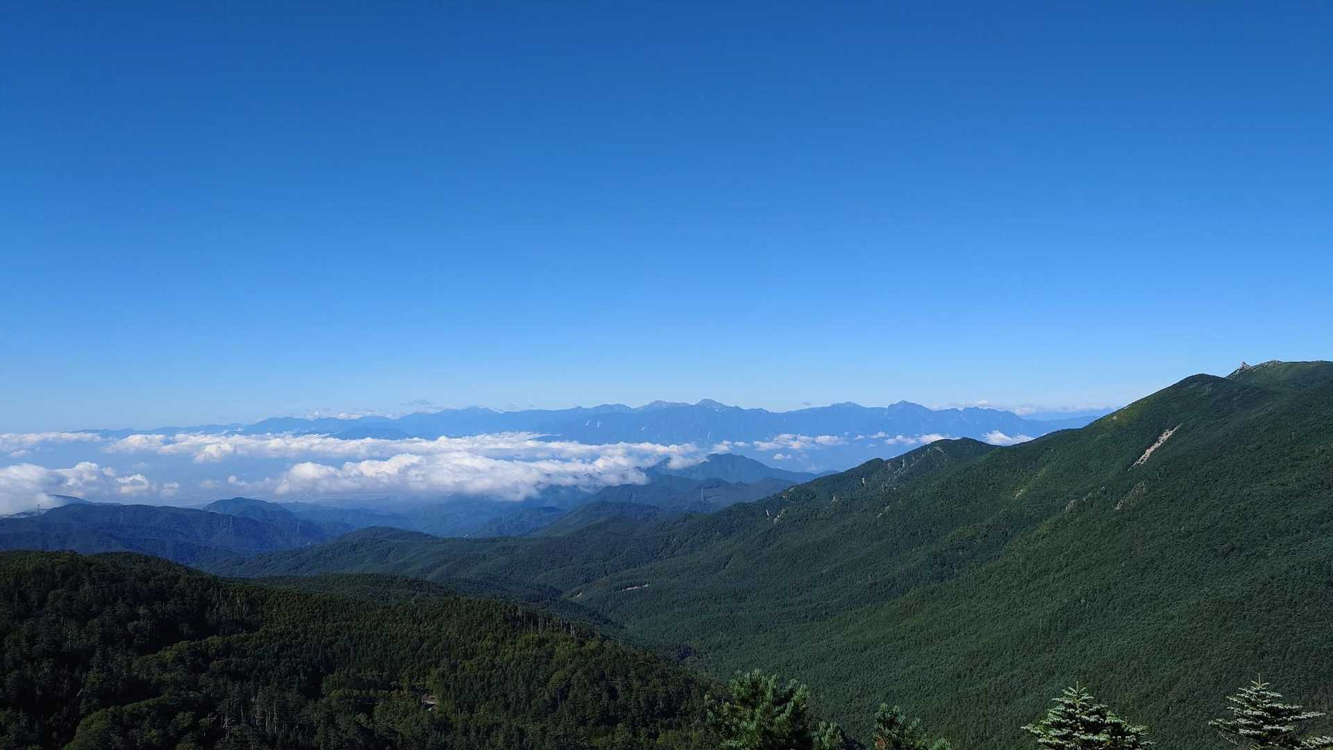 夢の庭園から📷
期待できそうです😎
