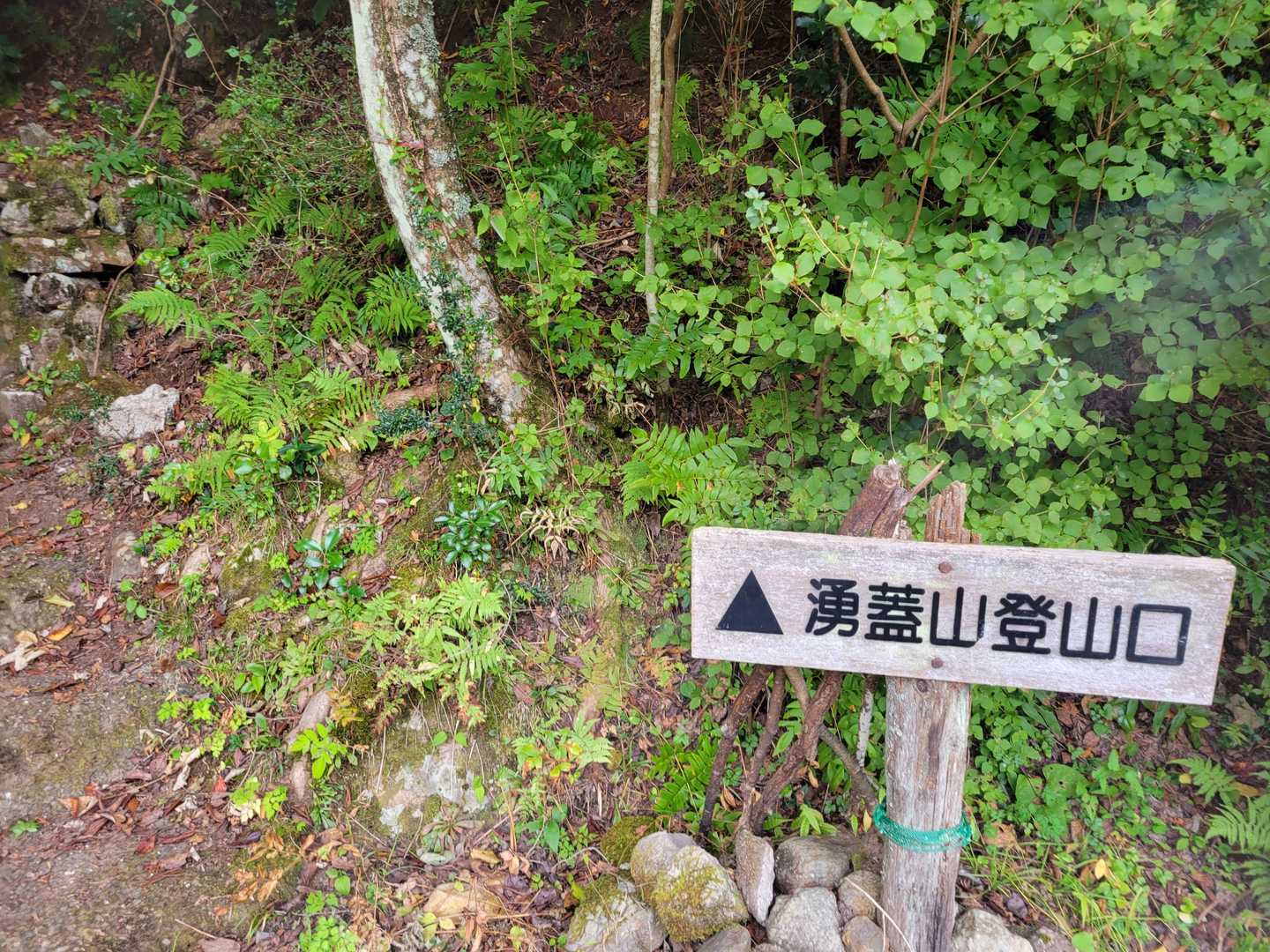 下山しました。