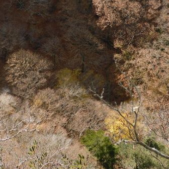 岩壁の先端より 眼下…⚆⚆＊

何mあるんだろう
ズーンとくる😆