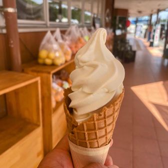 大内山ソフト　美味しい😋