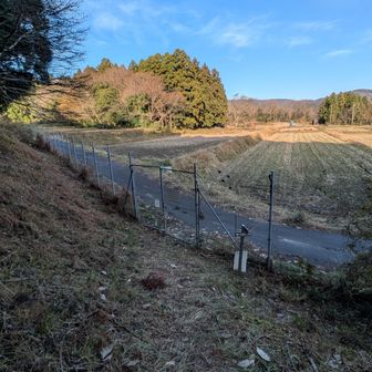ゲートを通っておつかれ山🏔️