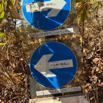 車の標識みたいw