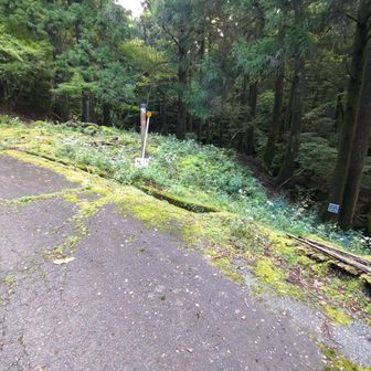 登り尾の分岐