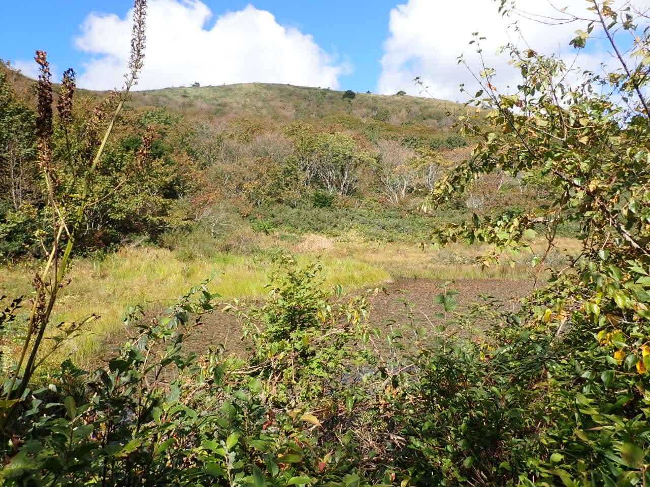 大池から道後山の山頂を見上げます。