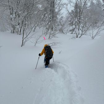 新雪をかき分ける楽しみ。