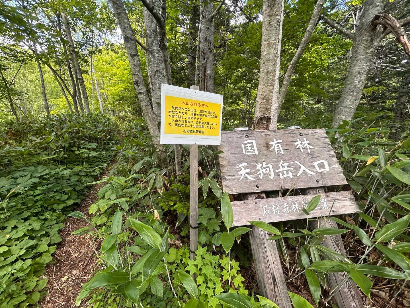 下山完了
ロープ🪢を下りからの下山は楽な状況でした
今日はともっぷさんのお陰で、定山渓天狗岳のピークを新規に２つも取れました🤗
最後の顔面パンチ🤛だけ失態😅せっかくアテンドいただいた良い雰囲気に水を注し💦すみません🙇‍♂️
