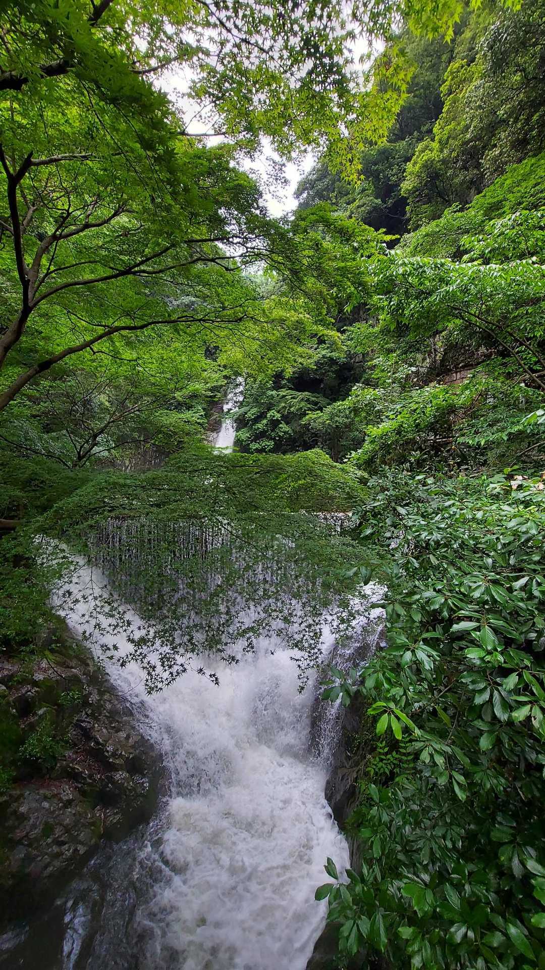 前日の雨で雨量が凄い‼️
