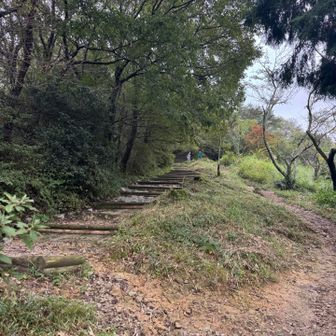 いよいよ山頂へ
