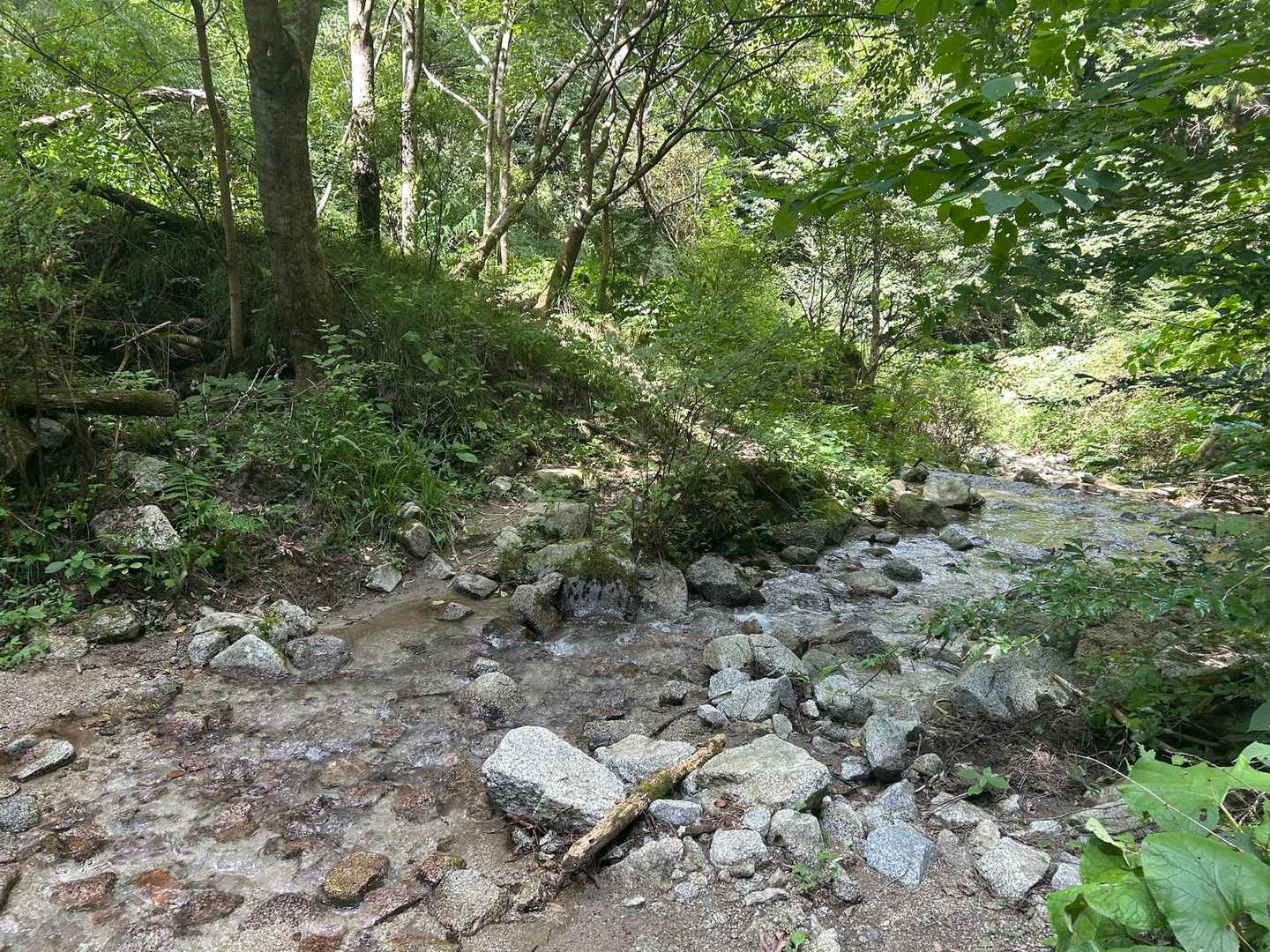 川沿いのルートをチョイスして大正解でした✌️