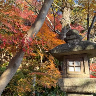 八幡山からの雪景色も絶景だそうです。
また何回も来ます✨