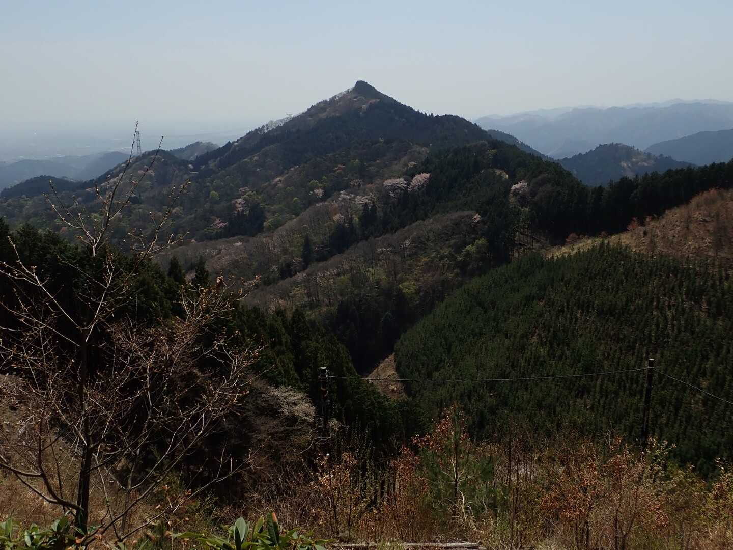 麻生山の写真