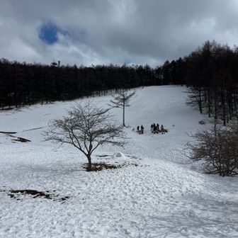 斜面はそりで。幼い頃に戻ったみたいな感覚。楽しかったです！