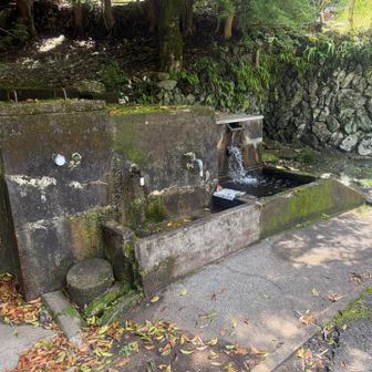 水場があったので手を洗う
