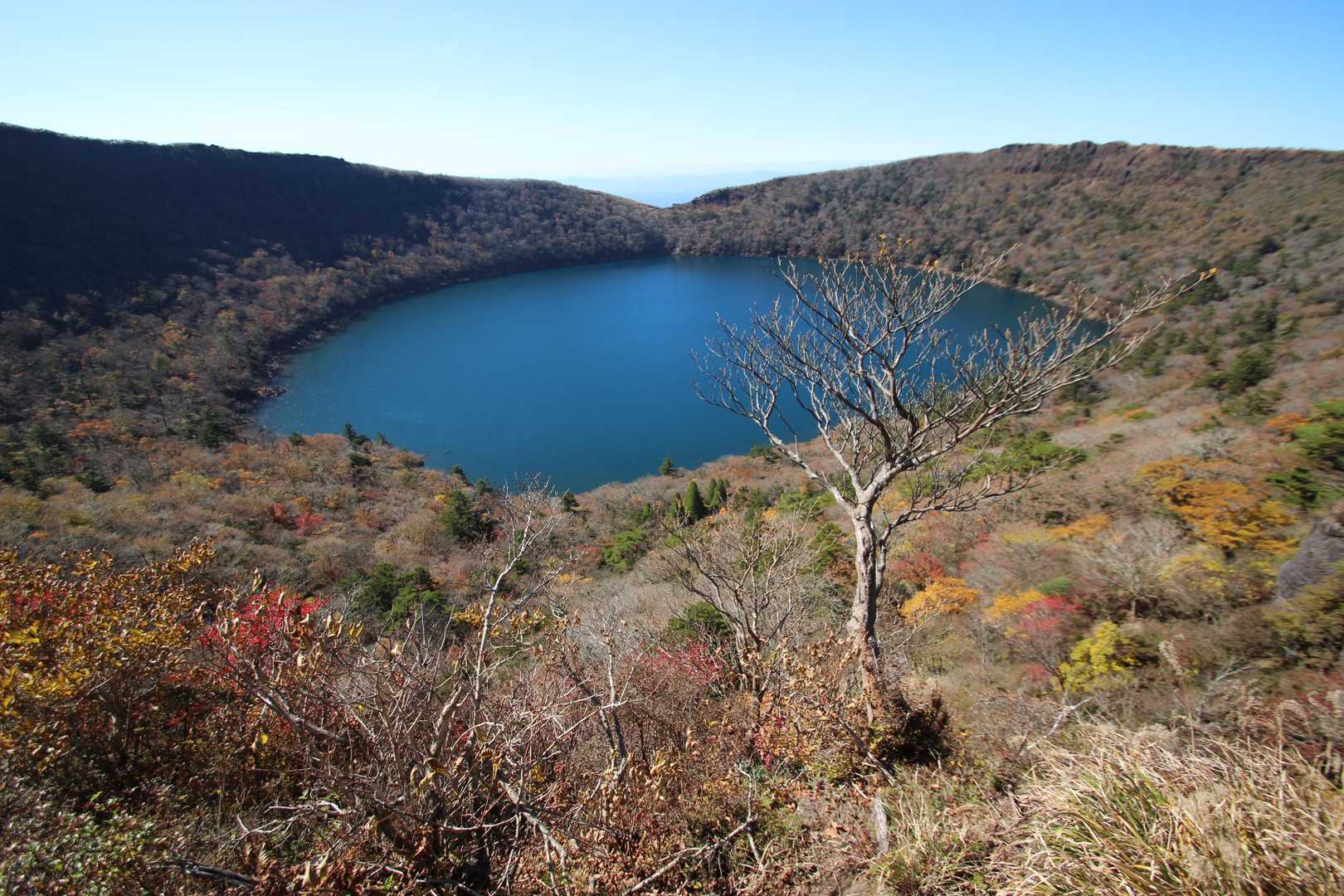 広角にて