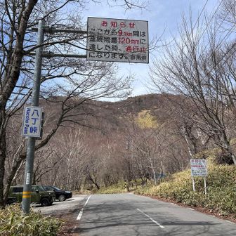 八丁峠まで車道歩き。