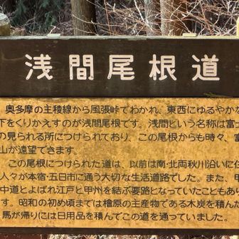 浅間尾根道は、様々な時代で人々の暮らしを支えていたのですね。
