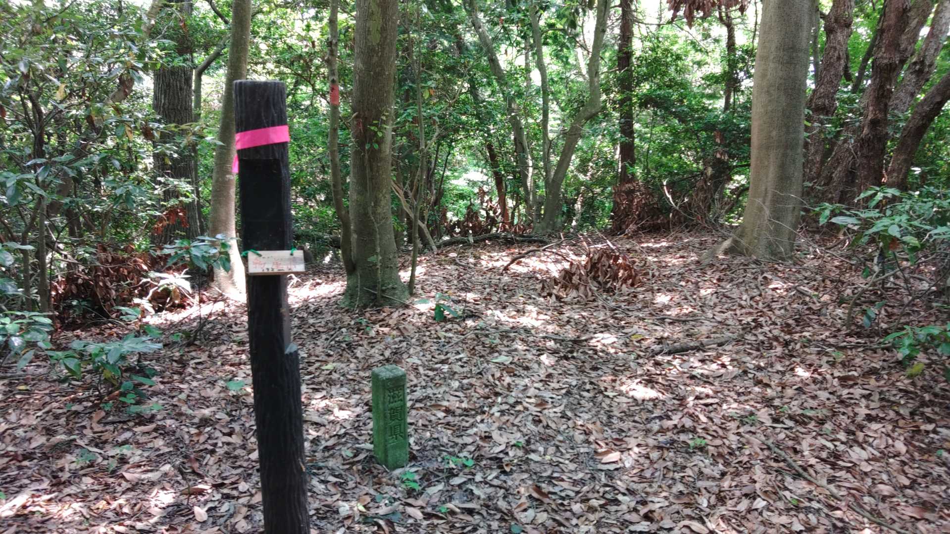 物生山山頂。標高192ｍ。眺望はありませんが、ベンチがあります。座っている方が1名。