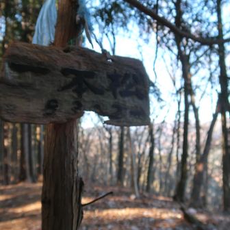 今年最後に登頂した山
グレーピークでした🩶