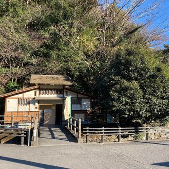 臨時駐車場前のトイレ