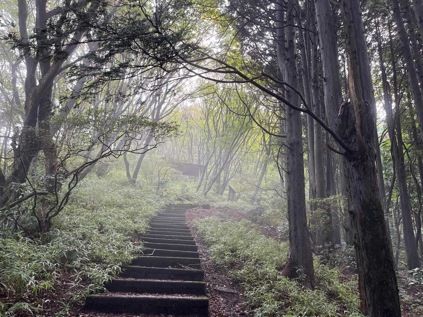 今朝、車窓から見える筑波山の山頂は雲がかかってました💭

幻想的なこの景色
今私は雲の中💭