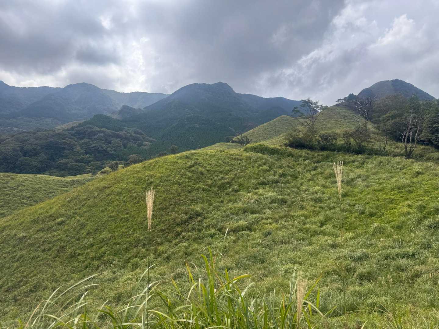 地蔵峠-大矢岳-冠ヶ岳 縦走コースの写真