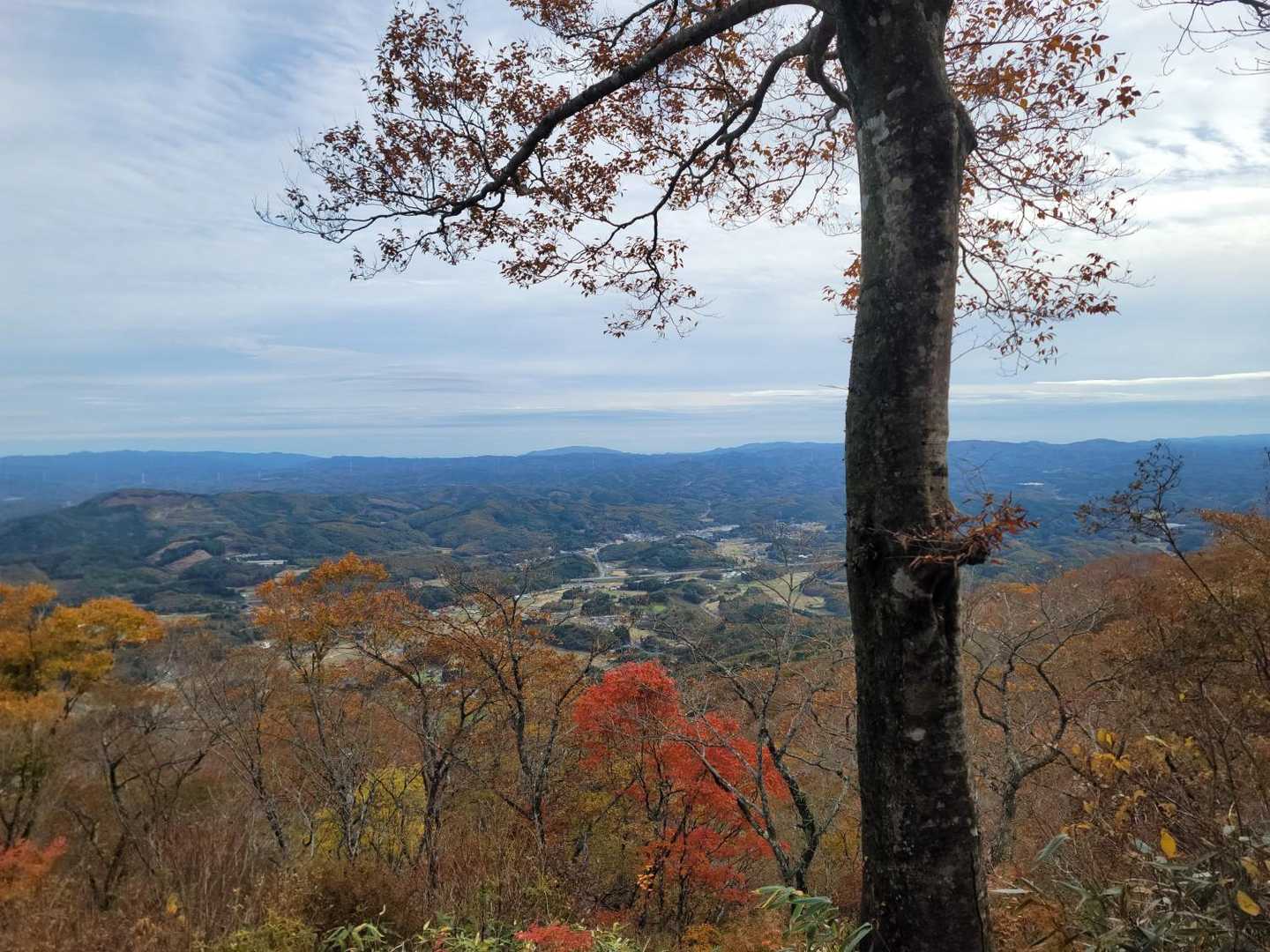 蓬田岳 往復コースの写真