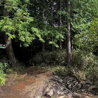 ここは要注意。
右と左に道があります。
左の道は行きやすいですが、平野に降りるには右の道に行きます。
