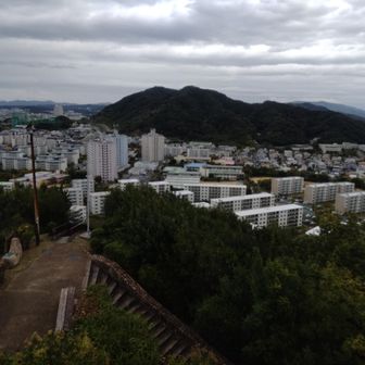 高倉山手前展望地から振り返って
来し方を望みます