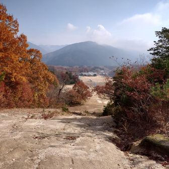 思わず滑走したくなりましたが、右に階段があります。