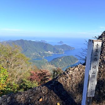 いいとこ📸