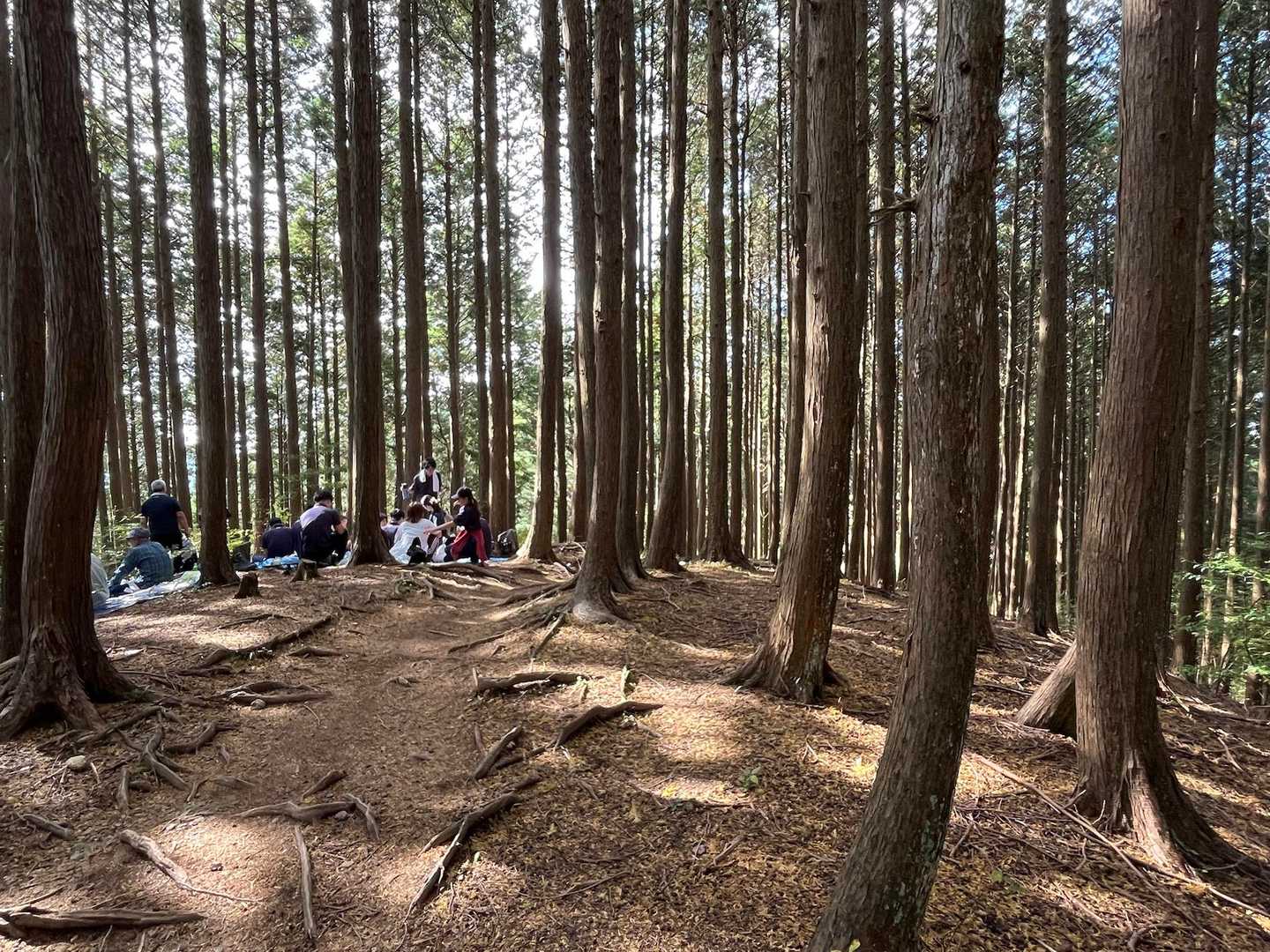 この先は急下りの階段
下りてしまうと日陰がなくなるので、この辺りでお昼休憩にします