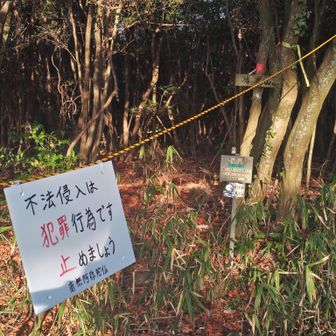 三角点が侵入禁止になっています
この奥100m先の車道にある登山口からはここまで来てもいいんでしょうね