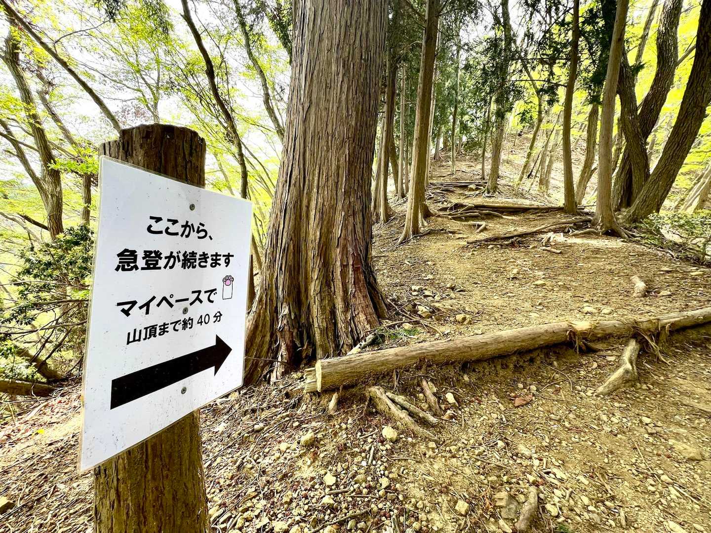 栗山登山口-笠山 往復コースの写真