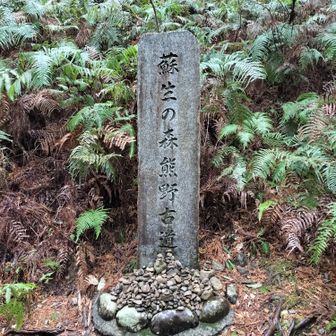 熊野古道 小辺路 この後大きな間違いに気付くのです😱