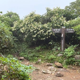 間違って下から上へ😩
戻ってきました？