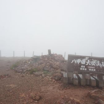 爆風の中、八甲田大岳に登頂。写真を撮って即退散。風速17mという予報でした。