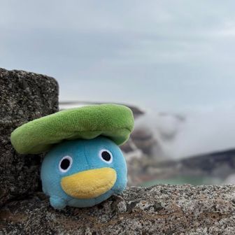 カナコ