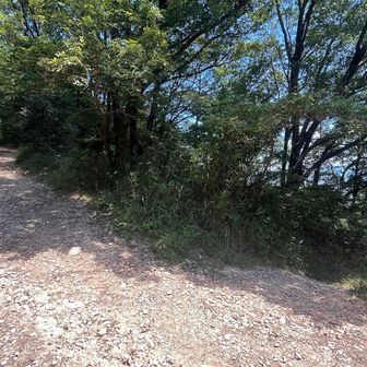 先ずは雄岳へ