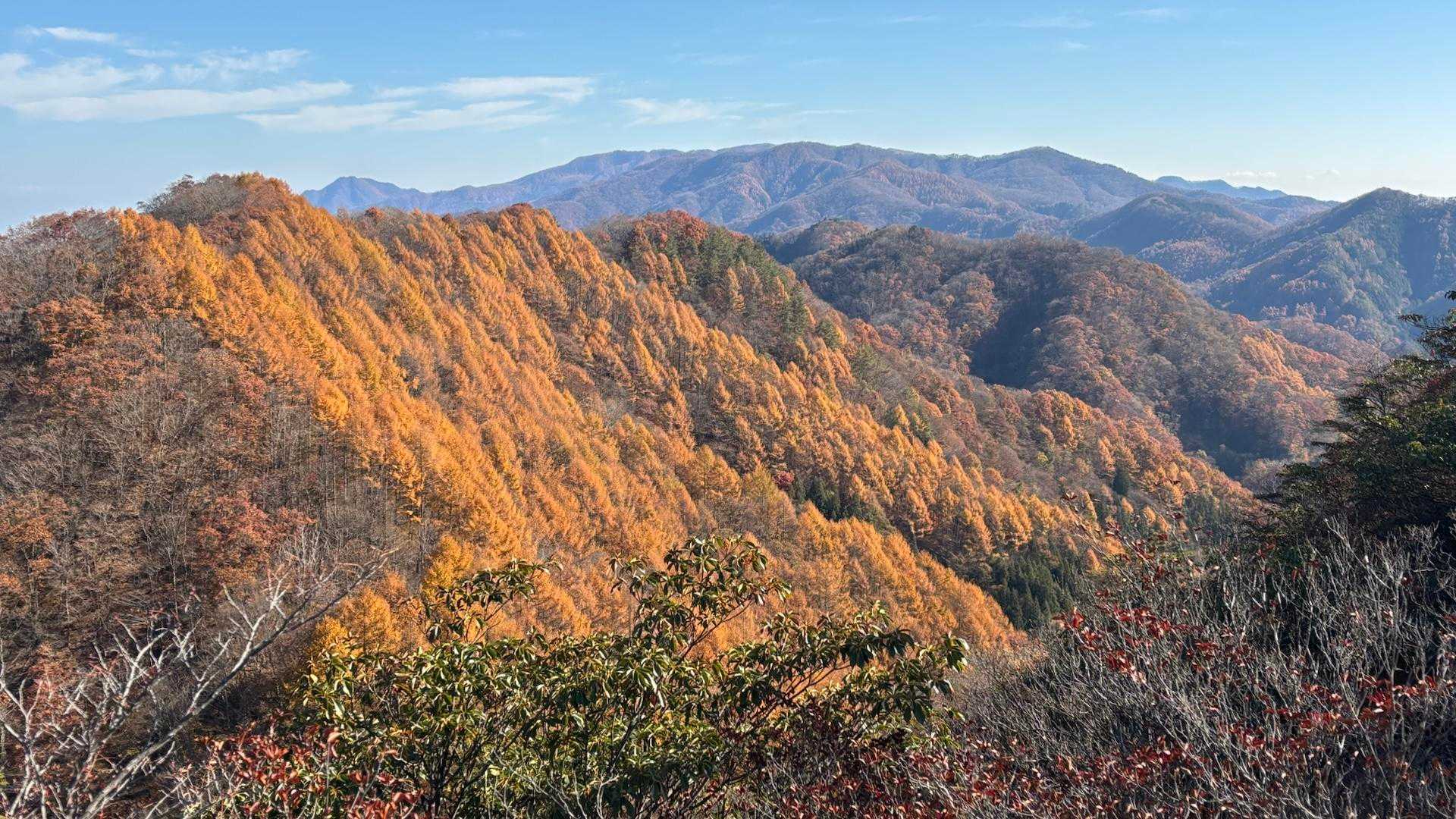 渡った先にはこの紅葉！🍁