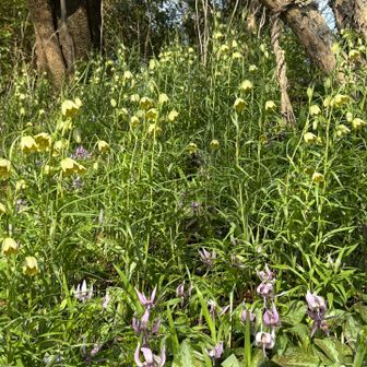 離れられないわ〜