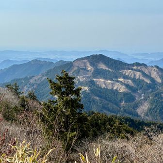 南側に、今淵ヶ岳が見えます。